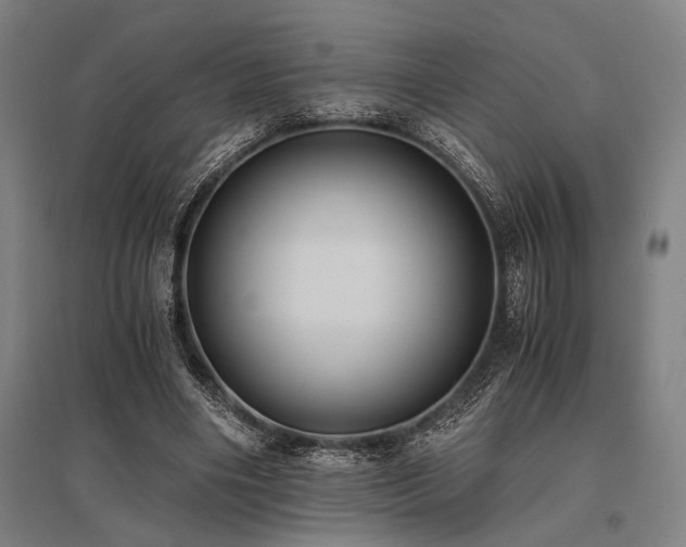 X0000096180490200801181315