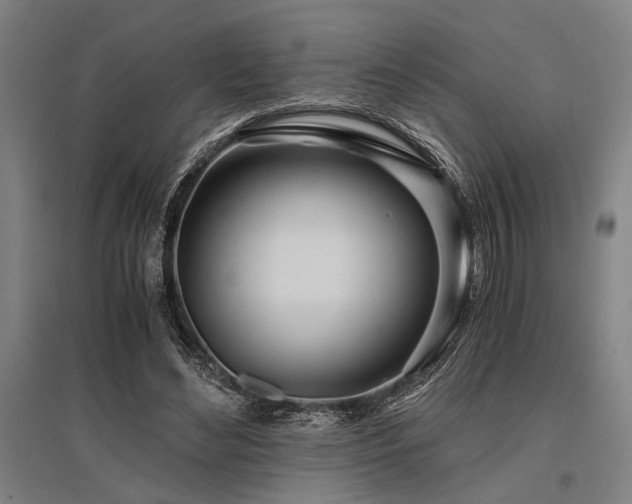 X0000096180492200801181315