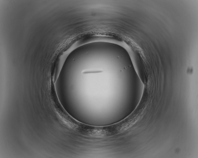 X0000096180493200801181315