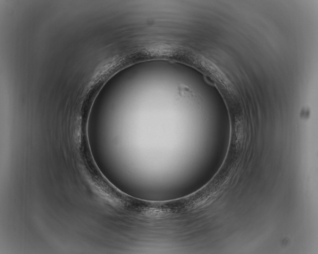 X0000096180494200801181315
