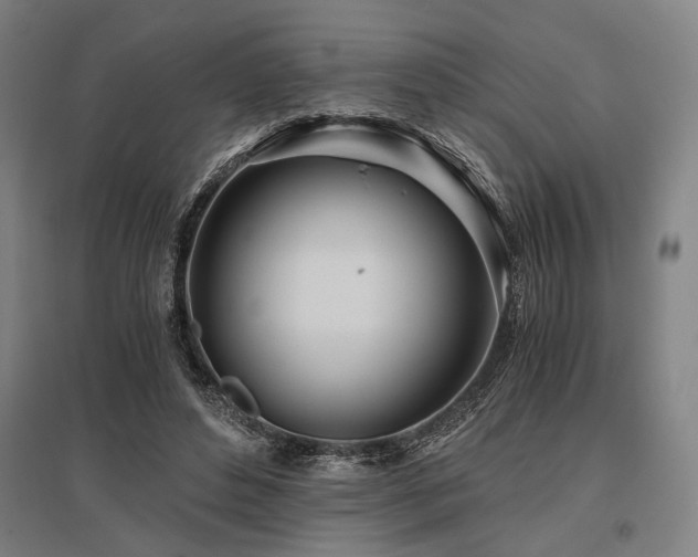 X0000096180496200801181315