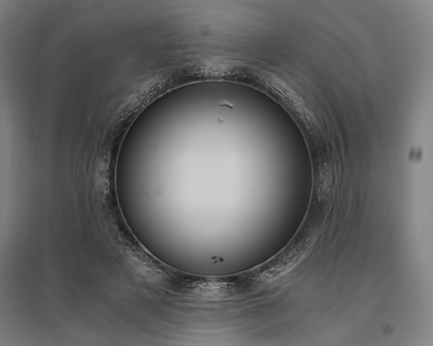 X0000096180497200801181315