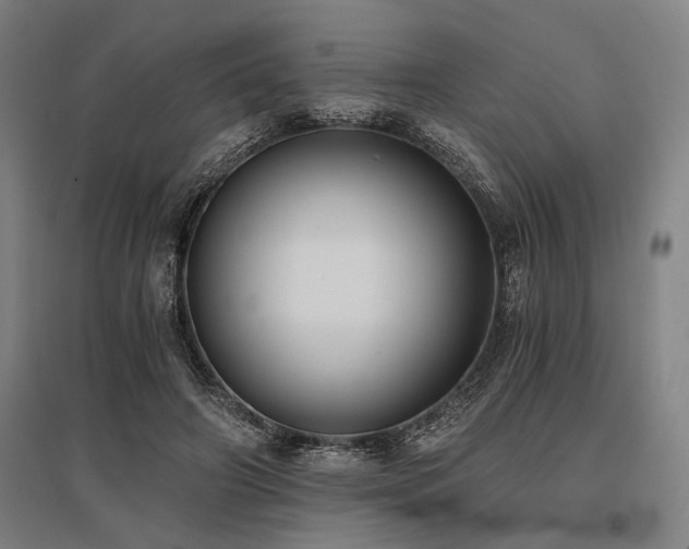X0000096180498200801181315