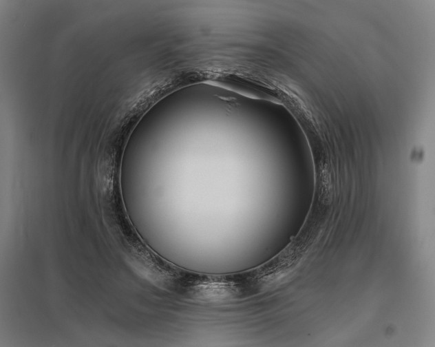 X0000096180499200801181315