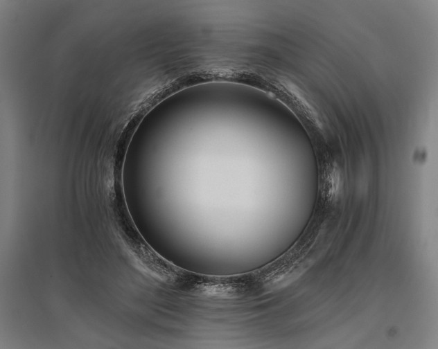 X0000096180500200801181315