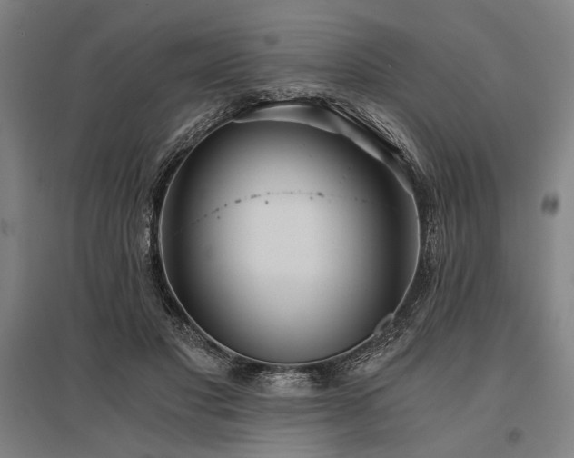 X0000096180501200801181315