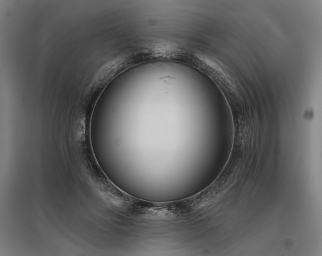 X0000096180502200801181315
