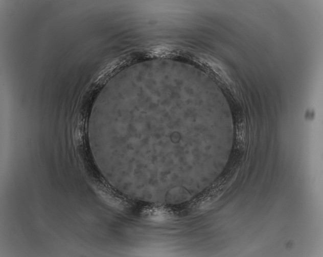 X0000096180503200801181315
