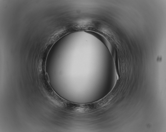 X0000096180504200801181315