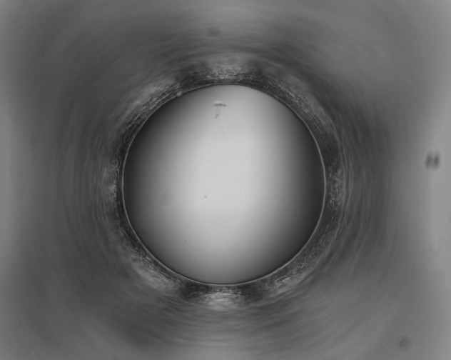 X0000096180505200801181315