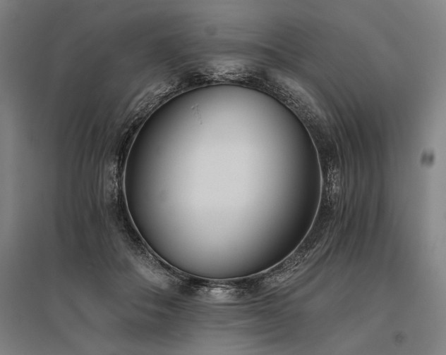 X0000096180506200801181315