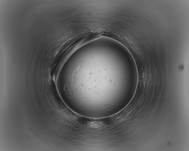 X0000096180508200801181315
