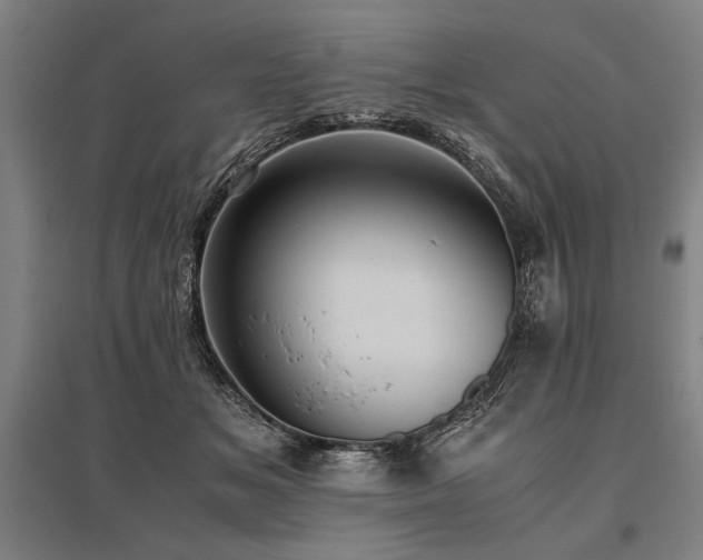 X0000096180509200801181315