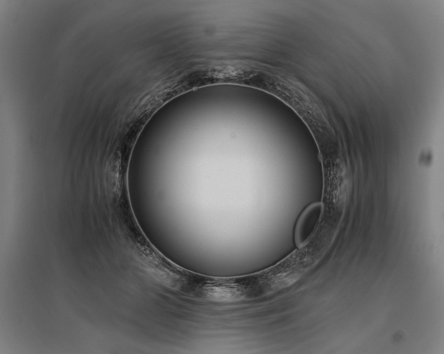 X0000096180510200801181315