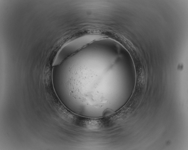 X0000096180513200801181315