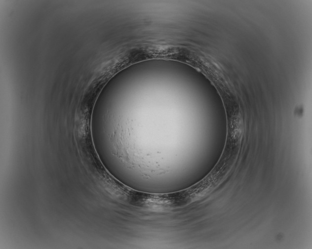 X0000096180515200801181315