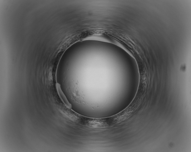 X0000096180516200801181315