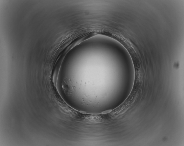X0000096180517200801181315