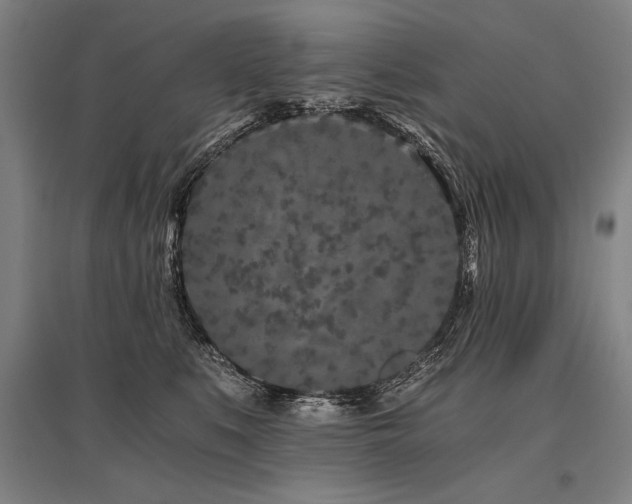X0000096180519200801181315