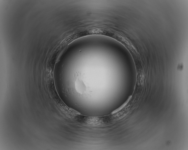 X0000096180521200801181315