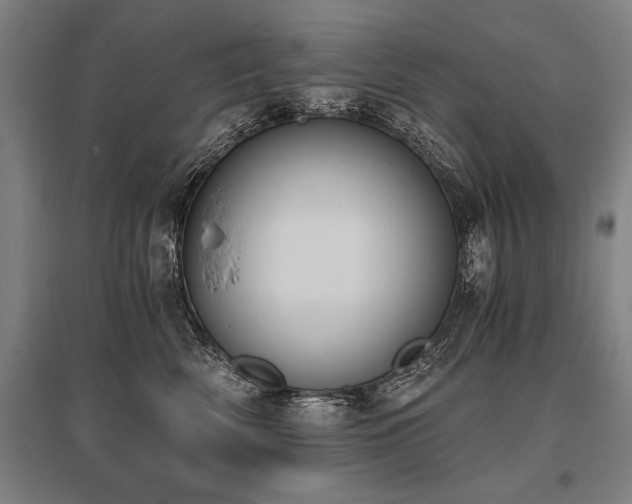 X0000096180522200801181315