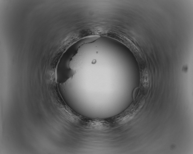 X0000096180523200801181315