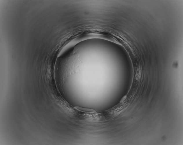 X0000096180524200801181315