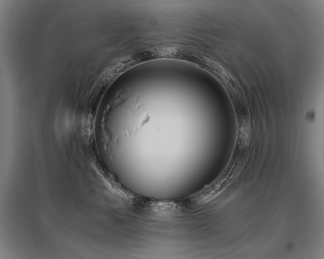 X0000096180525200801181315