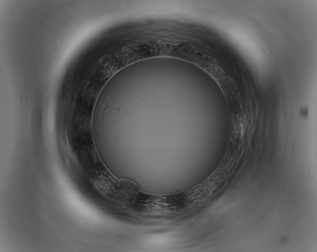 X0000096180526200801181315
