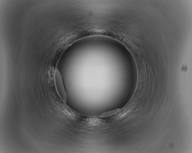 X0000096180528200801181315