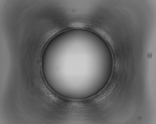 X0000096180529200801181314
