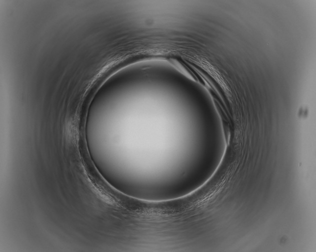 X0000096180530200801181314
