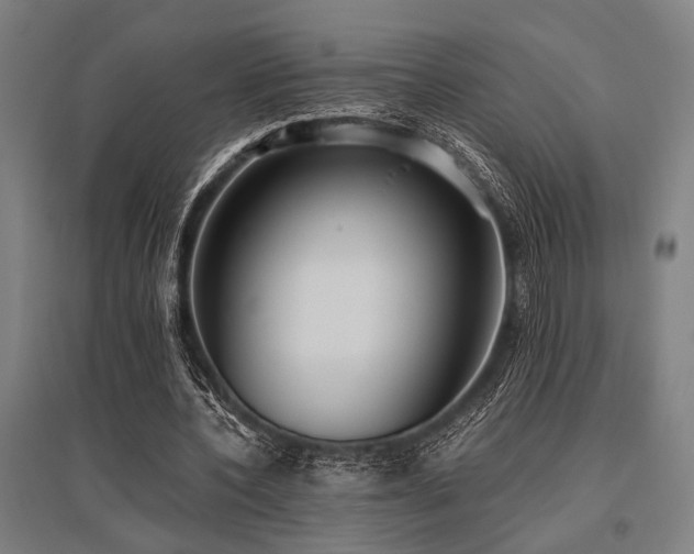 X0000096180532200801181314