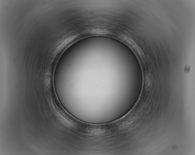X0000096180533200801181314