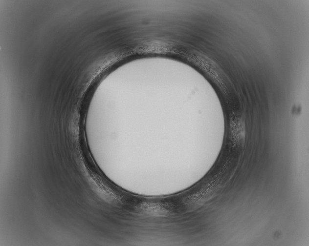 X0000096180534200801181314