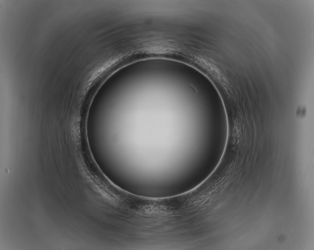 X0000096180535200801181314