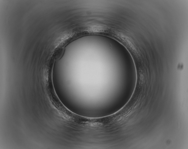X0000096180539200801181314