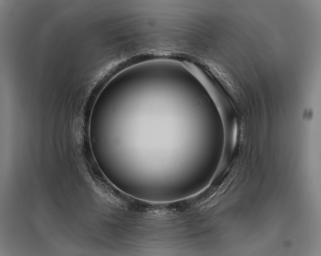 X0000096180540200801181314