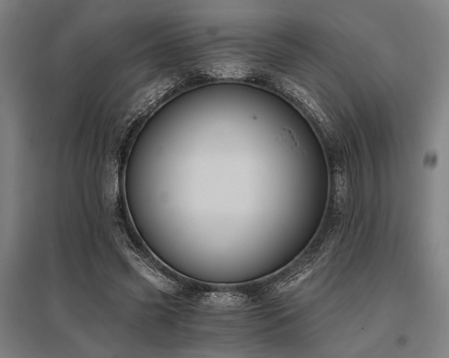 X0000096180541200801181314