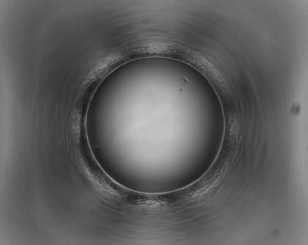 X0000096180542200801181314