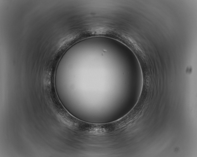 X0000096180543200801181314