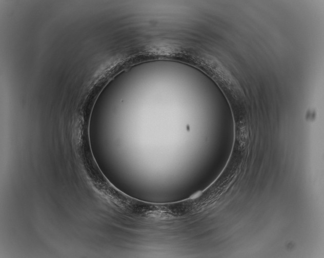 X0000096180544200801181314