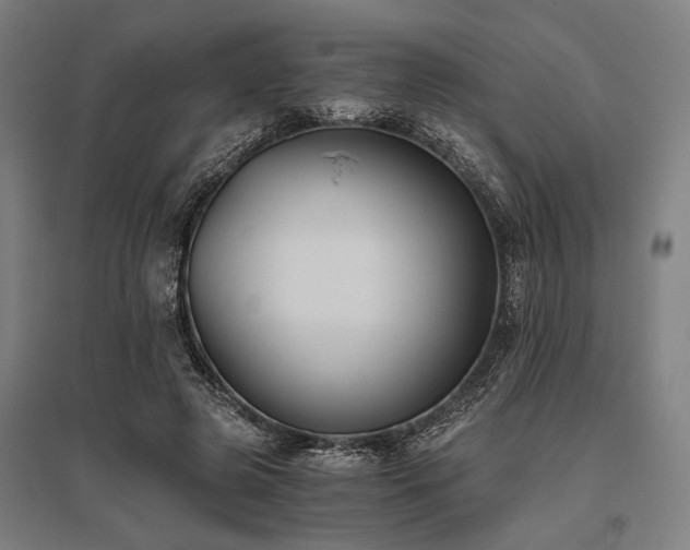 X0000096180545200801181314