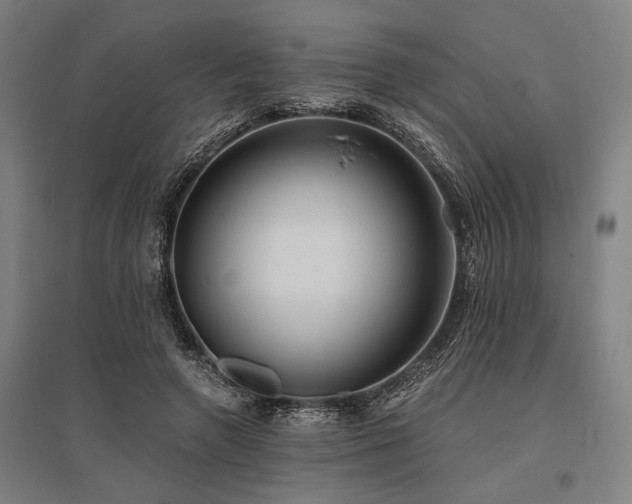 X0000096180546200801181314