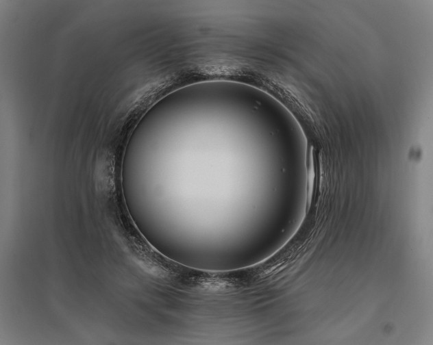 X0000096180547200801181314