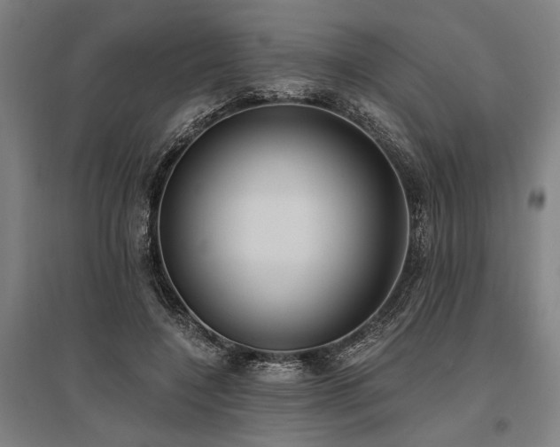 X0000096180548200801181314