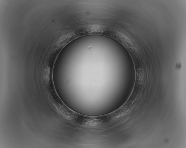 X0000096180550200801181314