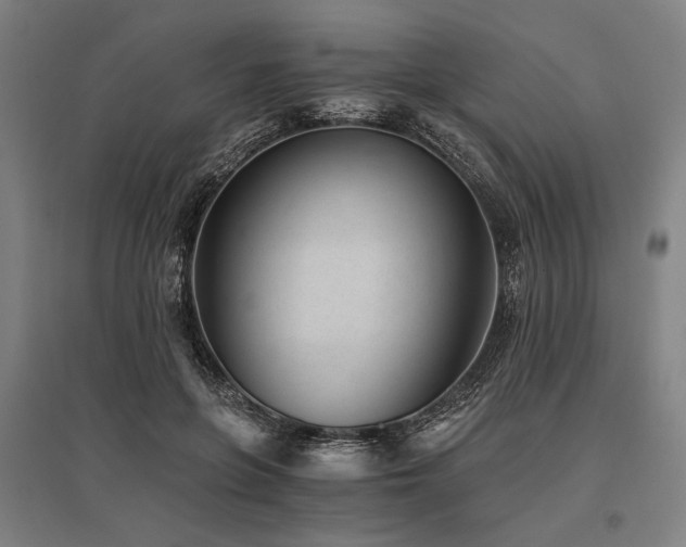 X0000096180551200801181314