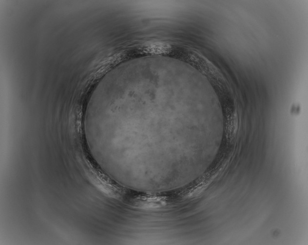 X0000096180553200801181314
