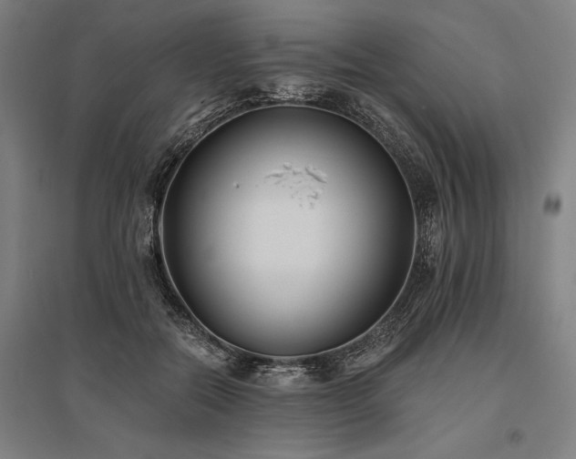 X0000096180554200801181314